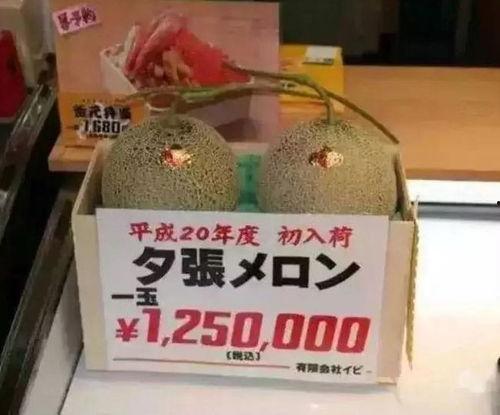 吃瓜娱乐号,吃瓜号带你探秘明星生活