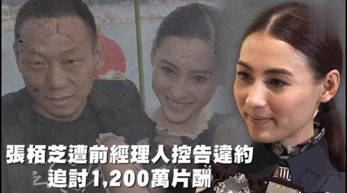 专业吃瓜娱乐,揭秘专业吃瓜者的独家视角