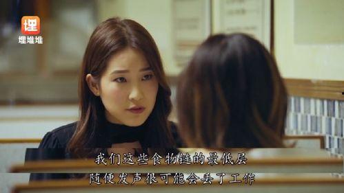 娱乐圈吃瓜日常小说,瓜田里的甜蜜陷阱