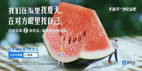 吃瓜娱乐图片文案大全,揭秘热门图片文案背后的趣味与真相