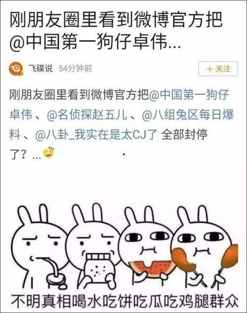 吃瓜娱乐大事件真相,真相背后的真相
